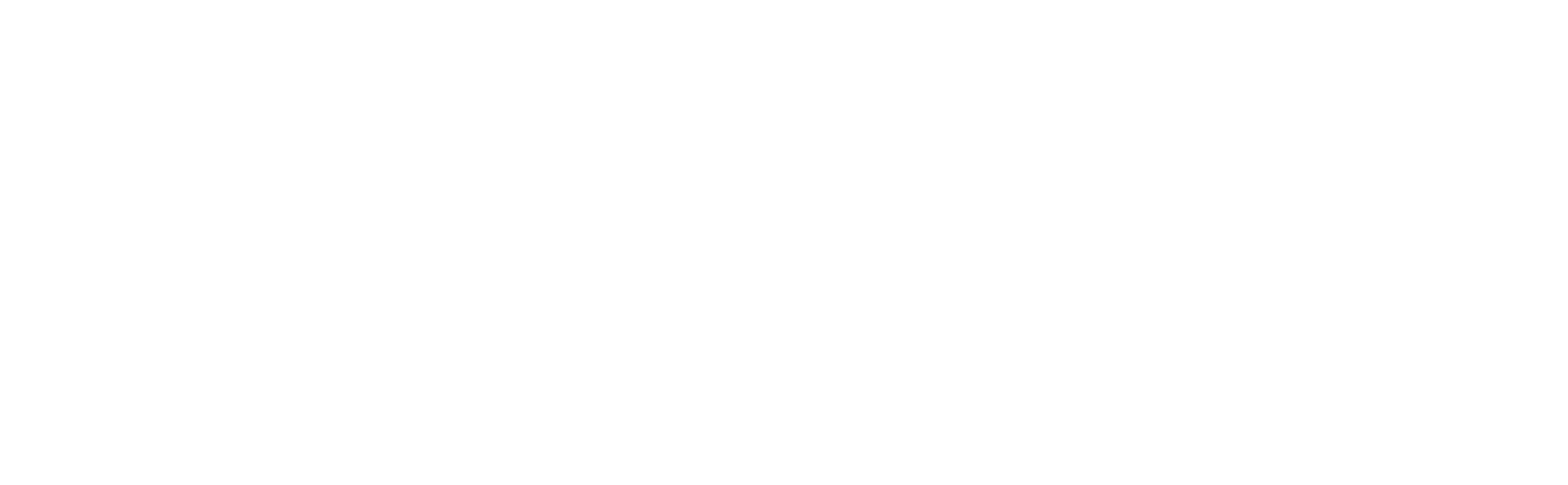 aok-transparent white